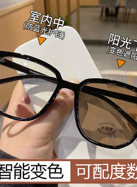 茶色墨镜女级感2024新款近视可配度数专用男士带度数太阳眼镜潮