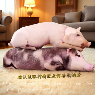 抽象小猪抱枕靠枕猪妞毛绒玩偶搞怪公仔布娃娃女生睡觉抱娃娃礼物