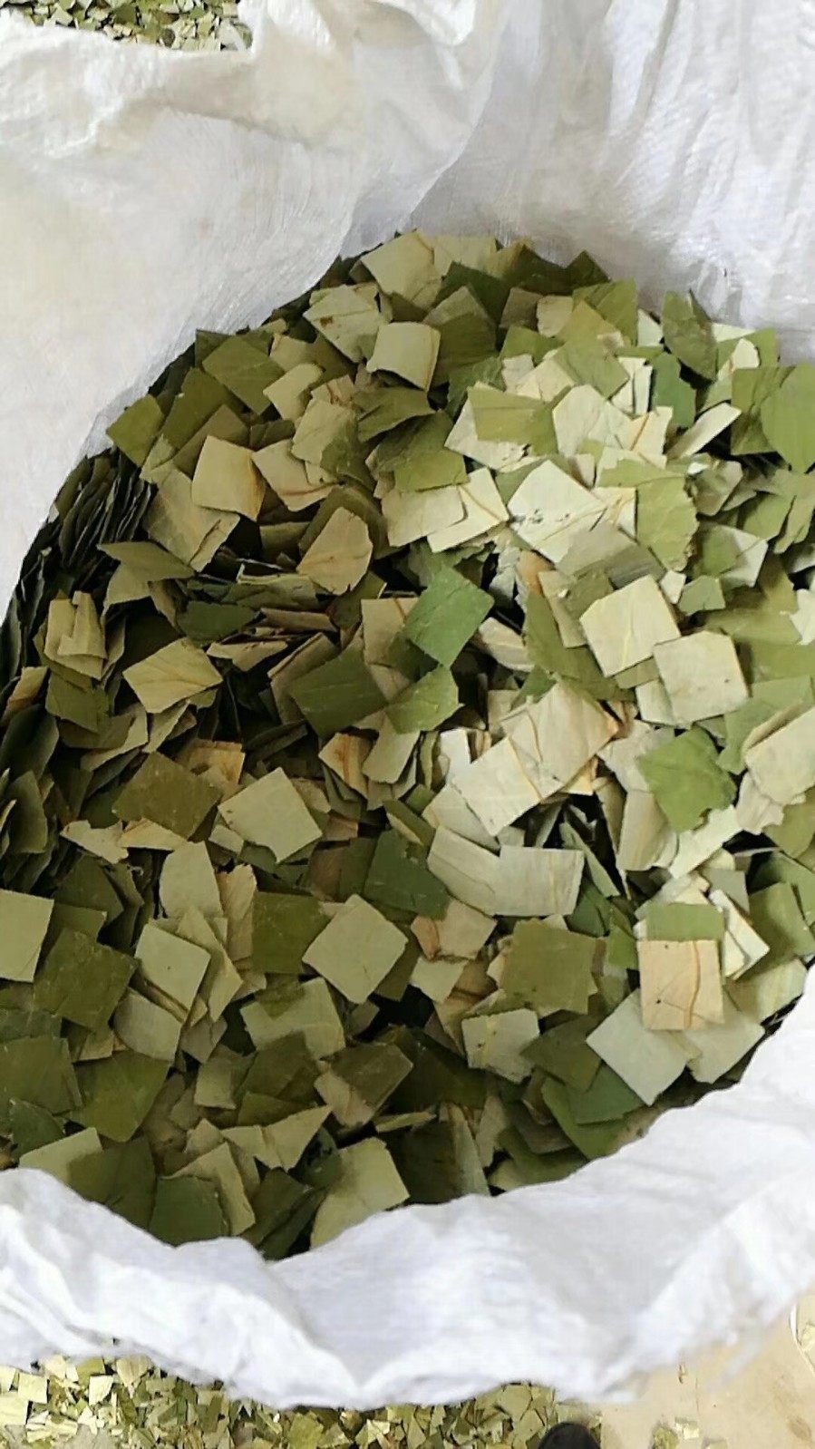 新茶微山湖干荷叶丝 纯天然野生荷叶茶特价包邮可配冬瓜皮