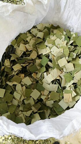 新茶微山湖干荷叶丝纯天然冬瓜皮