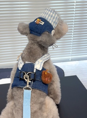 宠物牵引绳狗猫咪外出遛狗绳猫链泰迪比熊通用牛仔背心式狗链蓝色