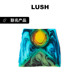 LUSH岚舒官方正品 柔软肌肤清洁手工肥皂 Reid 夏至香氛皂 Jamie