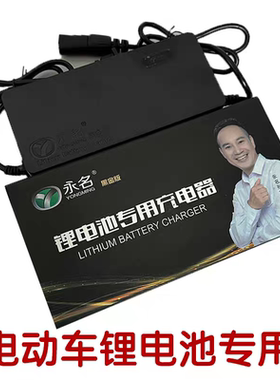 电动车锂电池充电器电瓶车48V60V2A3A，如永名缺货发佳霖品牌