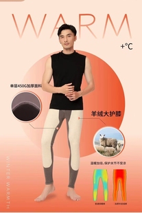 驰色秋冬男女士羊皮绒保暖绒裤8245加厚款高腰大护膝单层秋裤8645