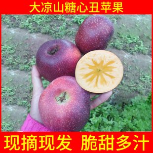盐源糖心苹果大凉山丑苹果新鲜孕妇水果阳光果非新云南丑苹果 包邮