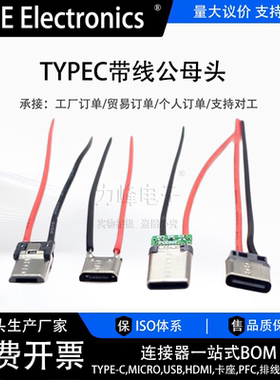 USB type-c焊线 母插座 2P带线 只充电母头DIY 2焊点