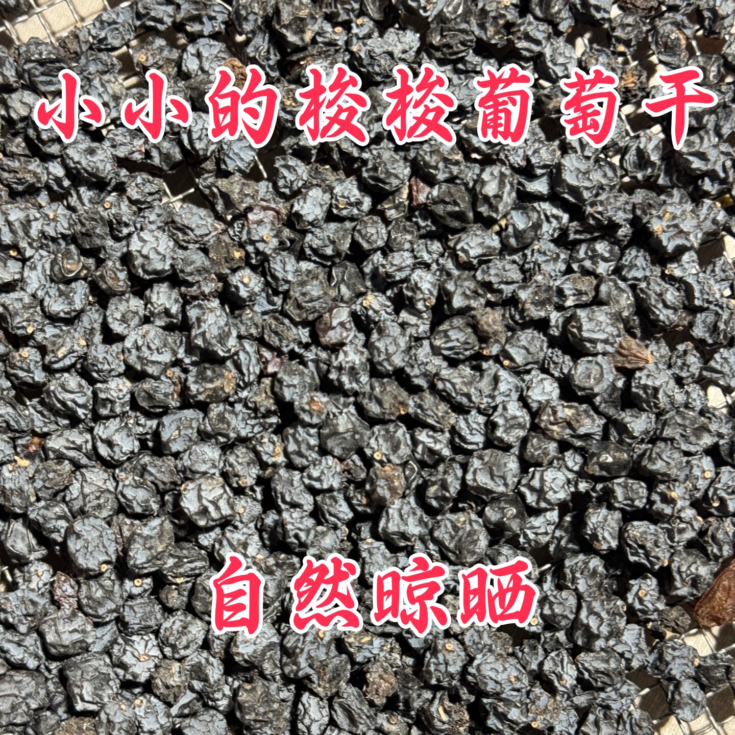 新疆吐鲁番特产黑梭梭葡萄干个头很小肉少有籽无速干剂自然晾晒