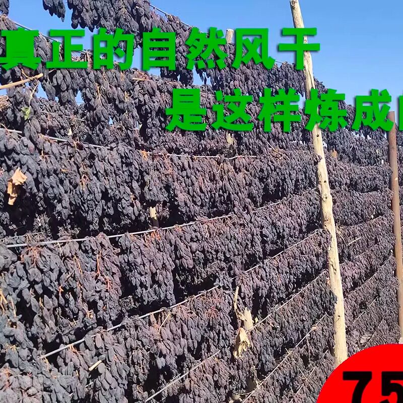 黑美人大个葡萄干有籽新疆吐鲁番自然风干不用速干剂天然无添加