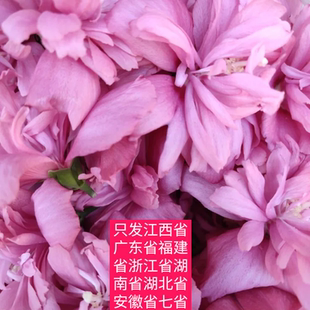 于都县木槿花鲜花食用重瓣花瓣花蕾酒店西餐冷艺摆盘装饰点缀食材