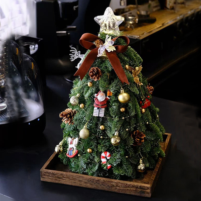 圣诞节装饰2025新款仿真诺贝松小迷你圣诞树客厅桌面氛围布置摆件