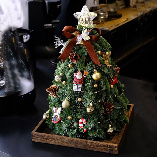 圣诞节装饰2025新款仿真诺贝松小迷你圣诞树客厅桌面氛围布置摆件