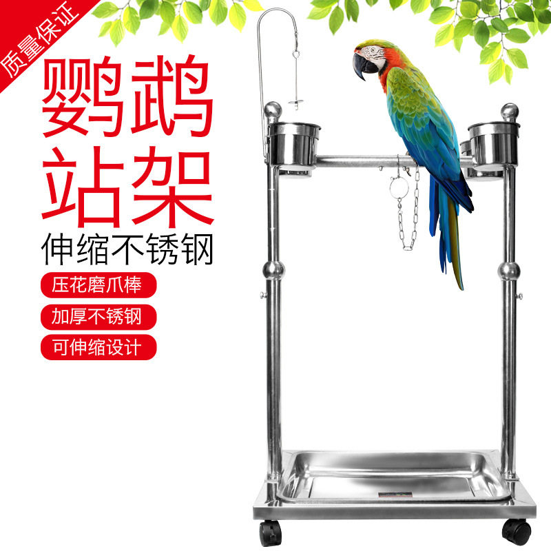 不锈钢鹦鹉鸟架宠物鸟栖息架站架鸟类架子观赏鸟架小鸟脚链脚环