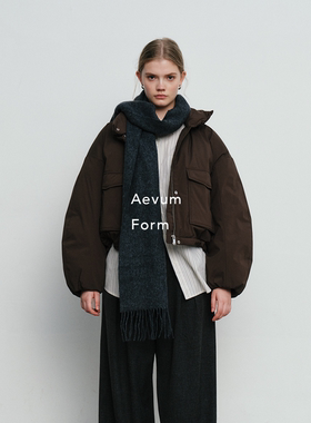 Aevum Form 2025秋冬新款新国标90白鸭绒立领短款羽绒服