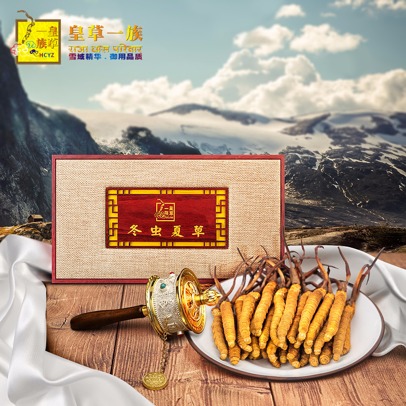 皇草一族西藏冬虫夏草5根一克 那曲正品虫草新鲜冬虫草|msdalam kategori makanan berkhasiat tradisional, Cordyceps - dari Buy2taobao.com untuk memberikan perkhidmatan ejen Taobao profesional membeli