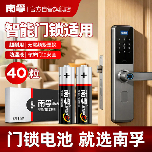 南孚门锁定制装专用电池
