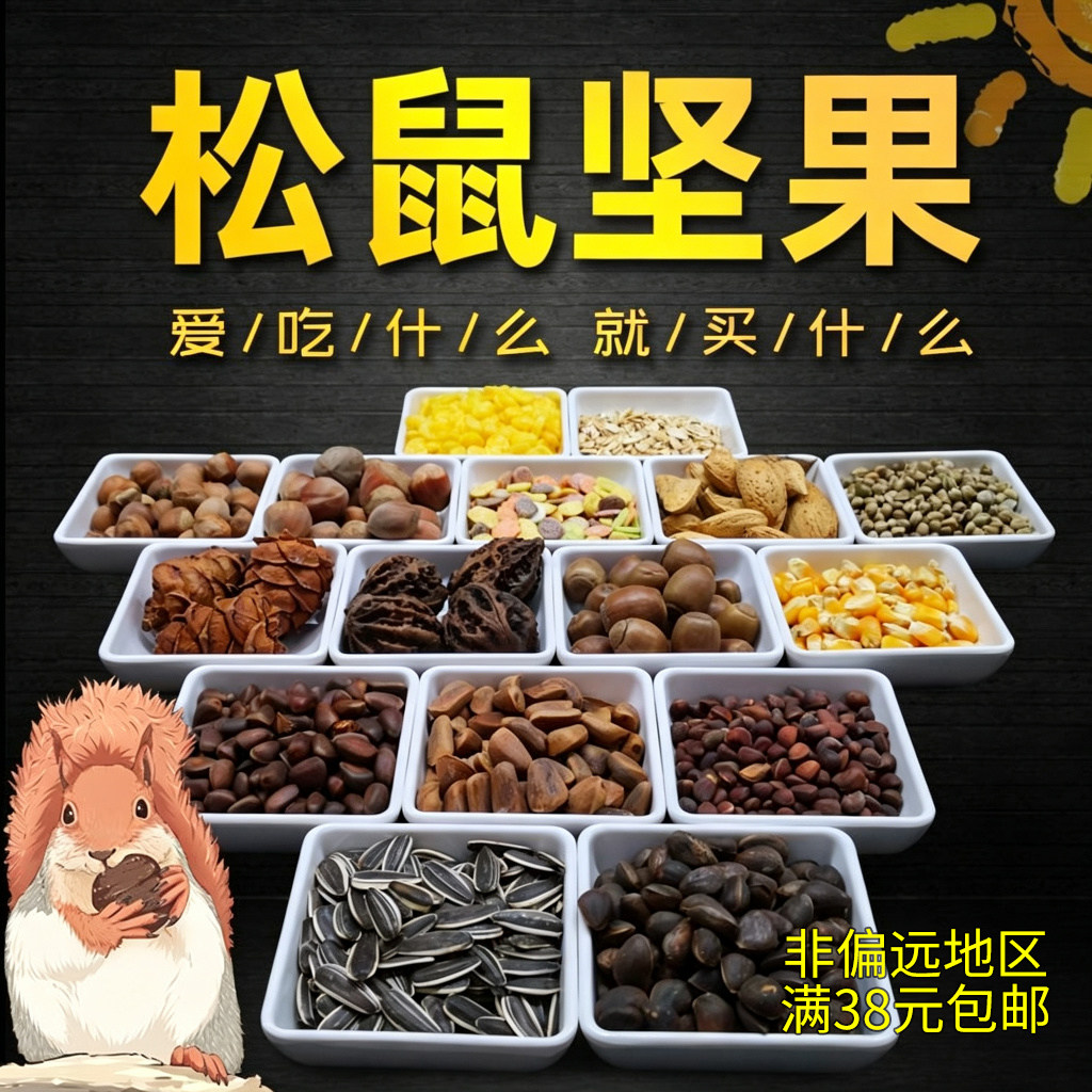 松鼠食物原料生料坚果自由搭配图片