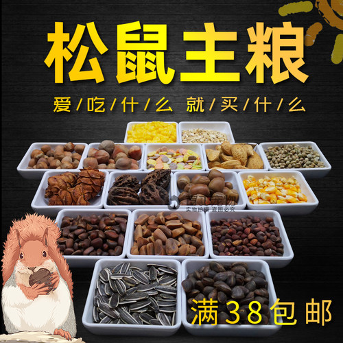 松鼠粮食坚果专用主食磨牙主粮飞鼠宠物松鼠幼崽吃的食物饲料生料