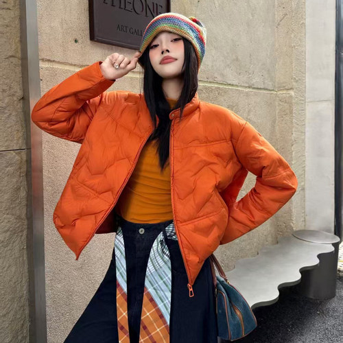时尚百搭宽松立领羽绒服女2025秋冬新款加厚保暖白鸭绒外套上衣潮