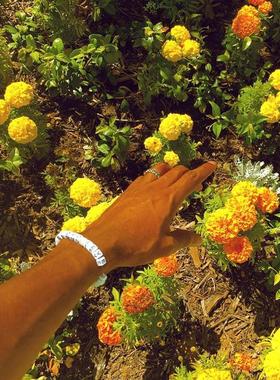 TYLER THE CREATOR同款手链 golfwang golf wang