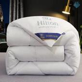 quilt winter Hilton Hotel duvet autumn warm 羽丝绒被芯冬被子