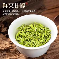 茶叶绿茶新茶特级明前嫩芽高山云雾茶罐装高端送礼名茶贵州朵贝茶