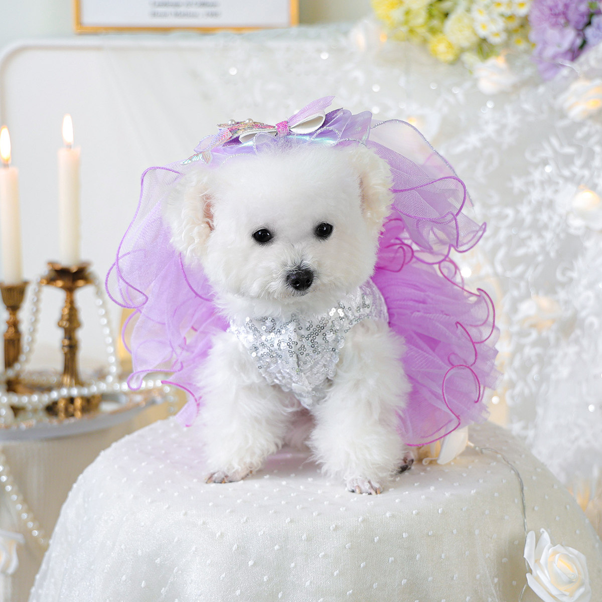 狗狗衣服宠物婚纱礼服猫咪陪嫁小型犬泰迪博美比熊小狗裙子公主裙