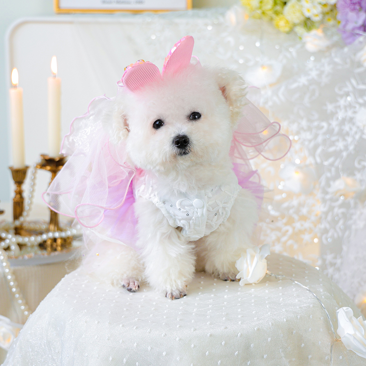 狗狗衣服宠物公主裙连衣裙小型犬