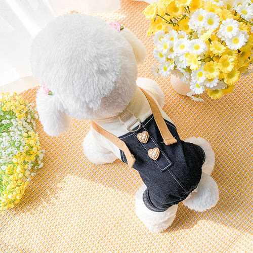 牵引春秋小型犬狗狗衣服宠背带裤