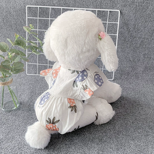 Собачья одежда для летней тонкой четвероногих одежды для грязной и противоположной защиты от солнцезащитного крема Тедди Померанский милый маленький собака