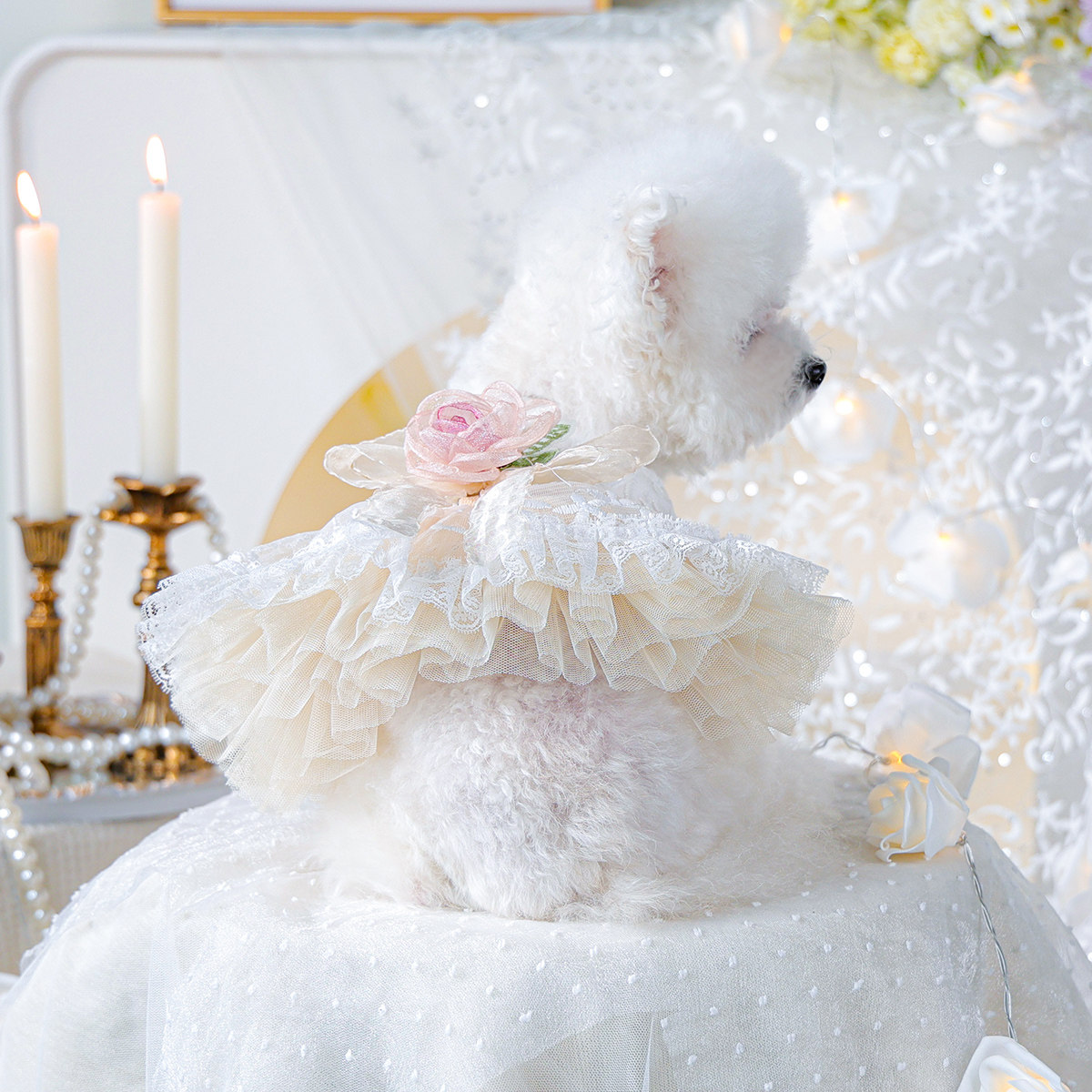 Petcircle 宠物狗狗衣服夏天薄款裙子可爱公主比熊泰迪博美连衣裙