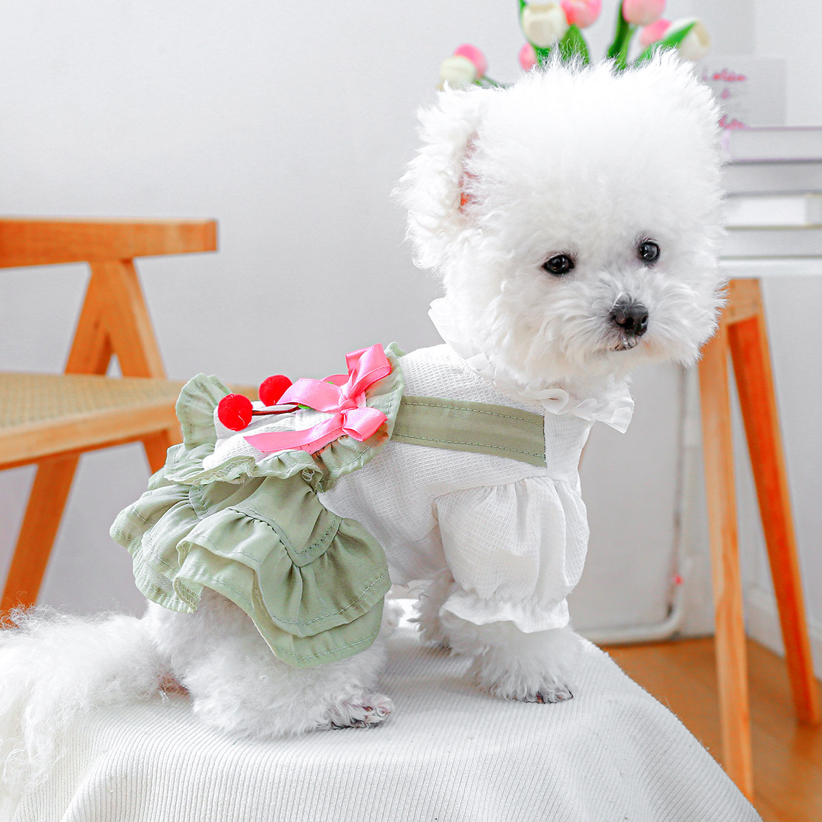 Petcircle 狗狗衣服宠物公主洛丽塔裙子泰迪春夏比熊2025新款小狗