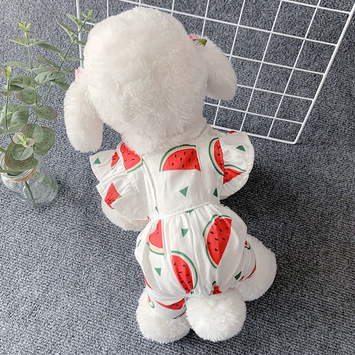 Собачья одежда для летней тонкой четвероногих одежды для грязной и противоположной защиты от солнцезащитного крема Тедди Померанский милый маленький собака