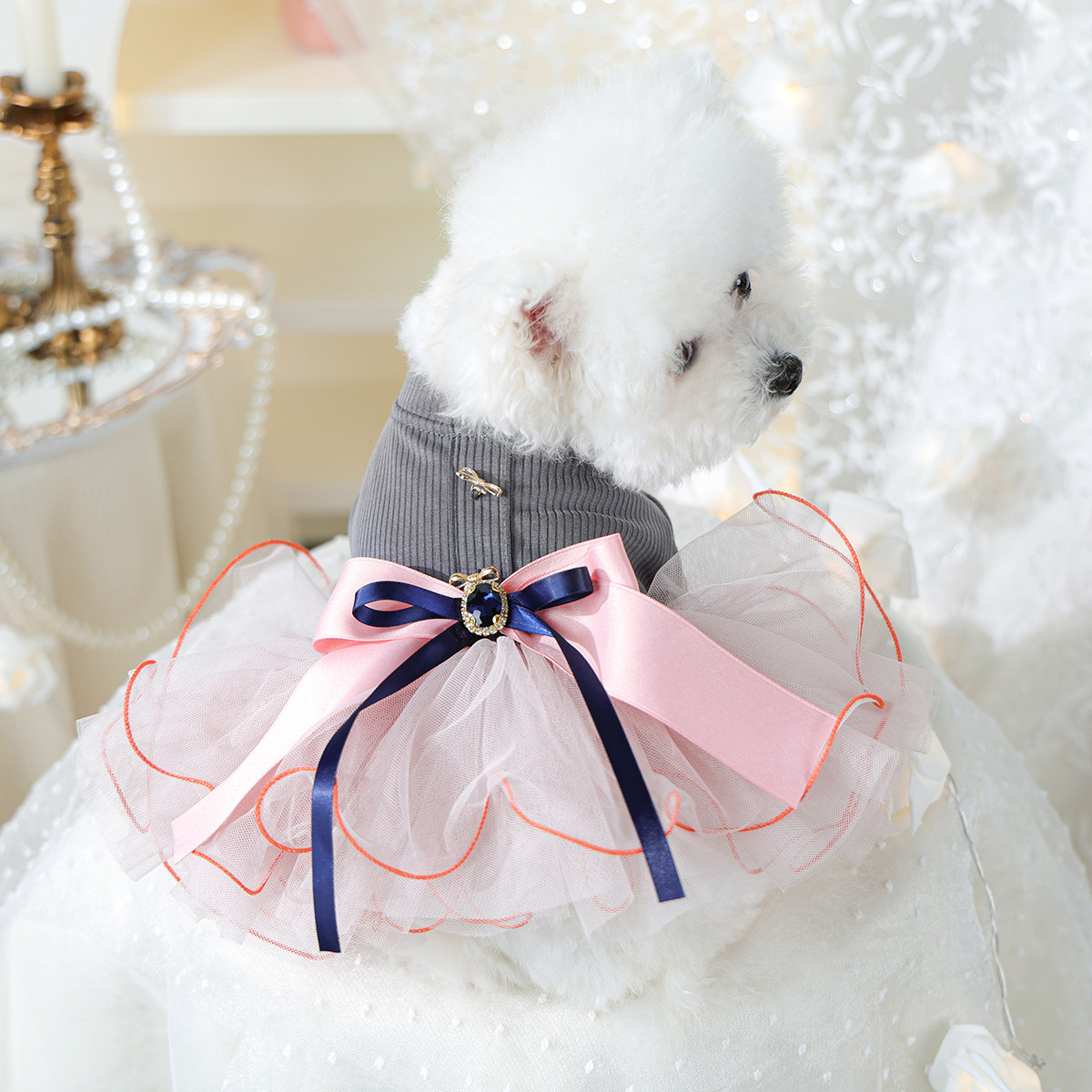 Petcircle 狗狗衣服宠物猫咪小狗蓬蓬裙比熊小型犬马尔济斯裙子薄