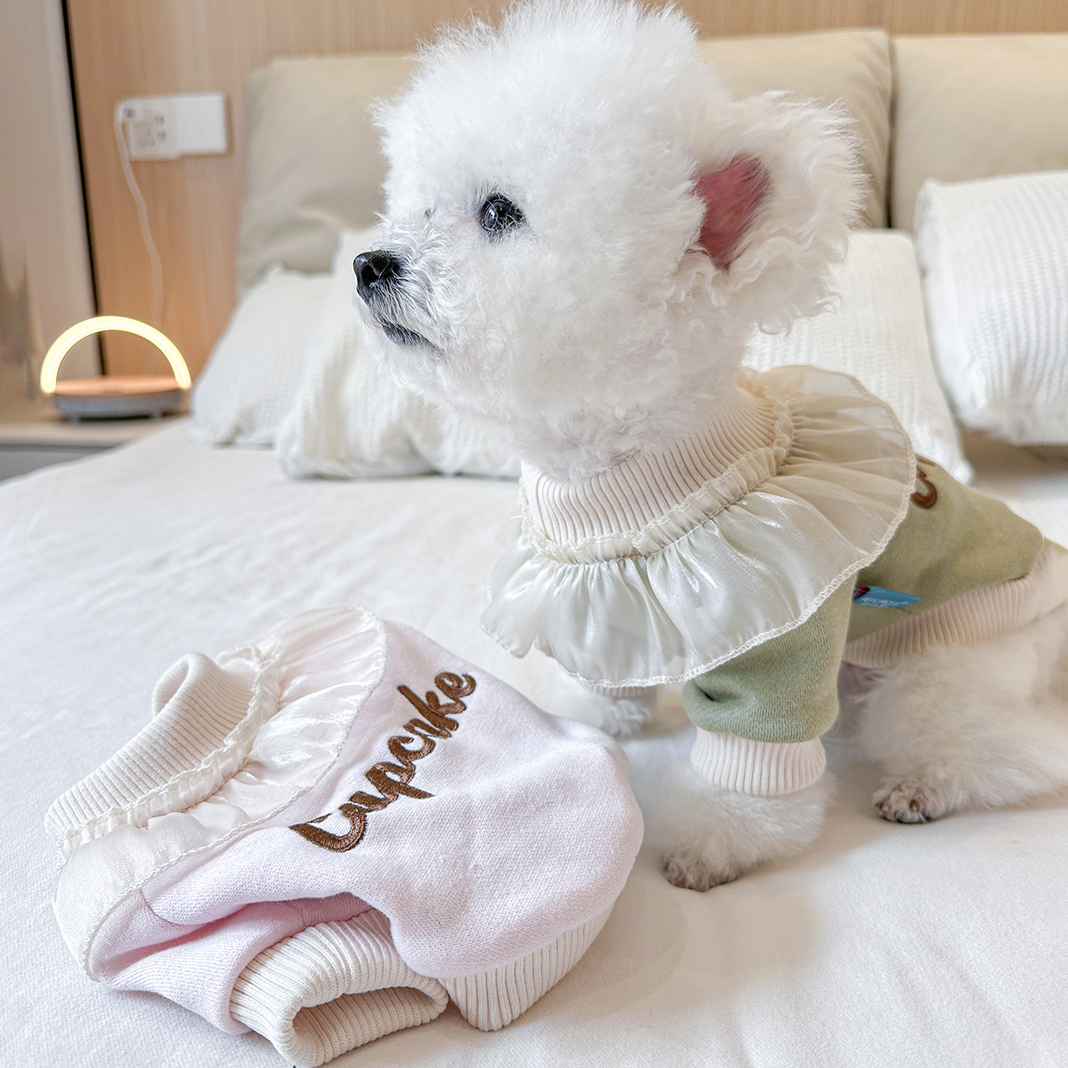 秋冬款牵引卫衣宠物猫咪狗狗衣服