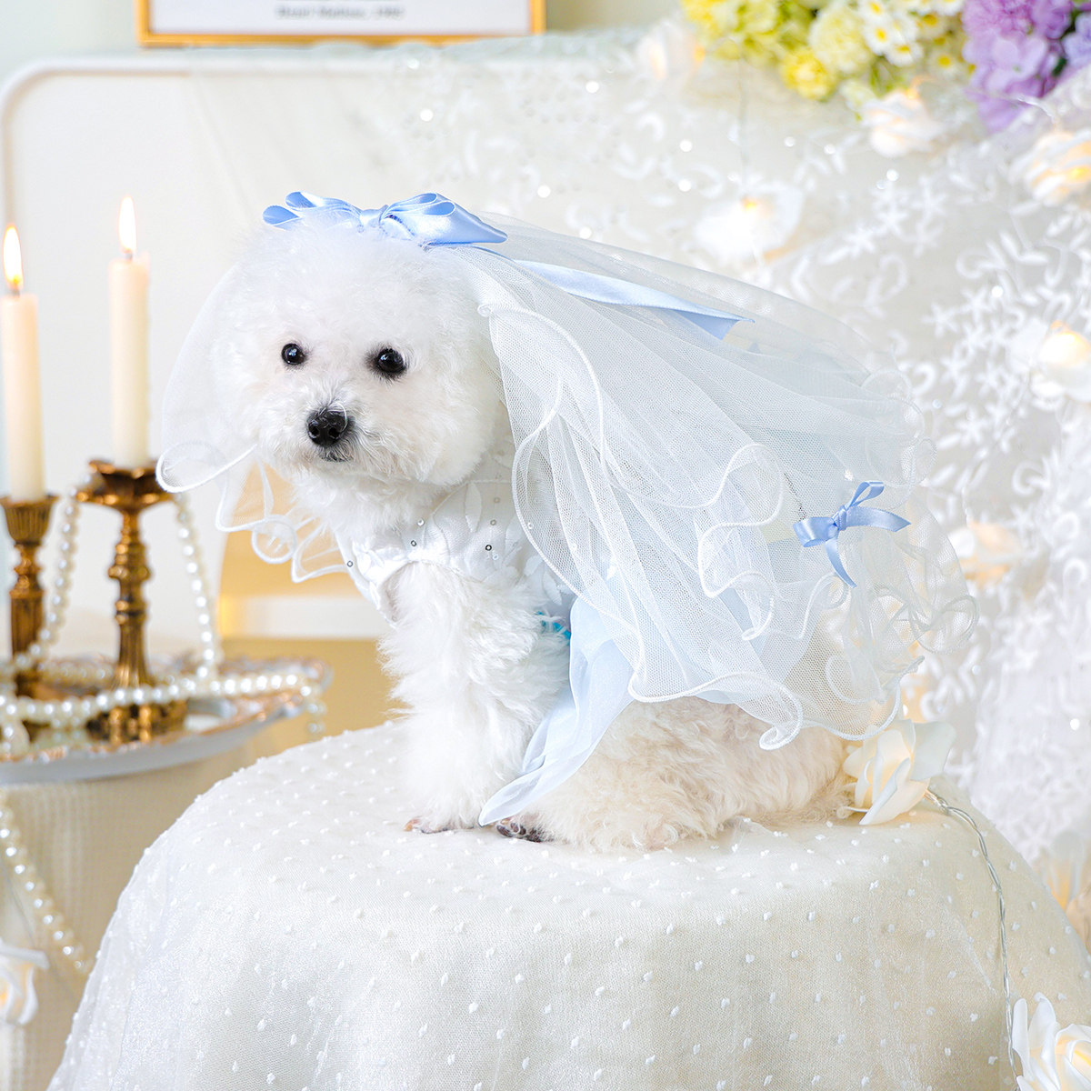 PETCIRCLE狗狗衣服婚纱礼服裙