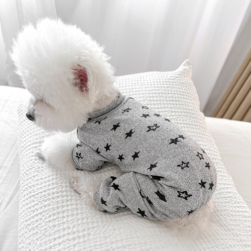 PETCIRCLE泰迪比熊博美小型犬