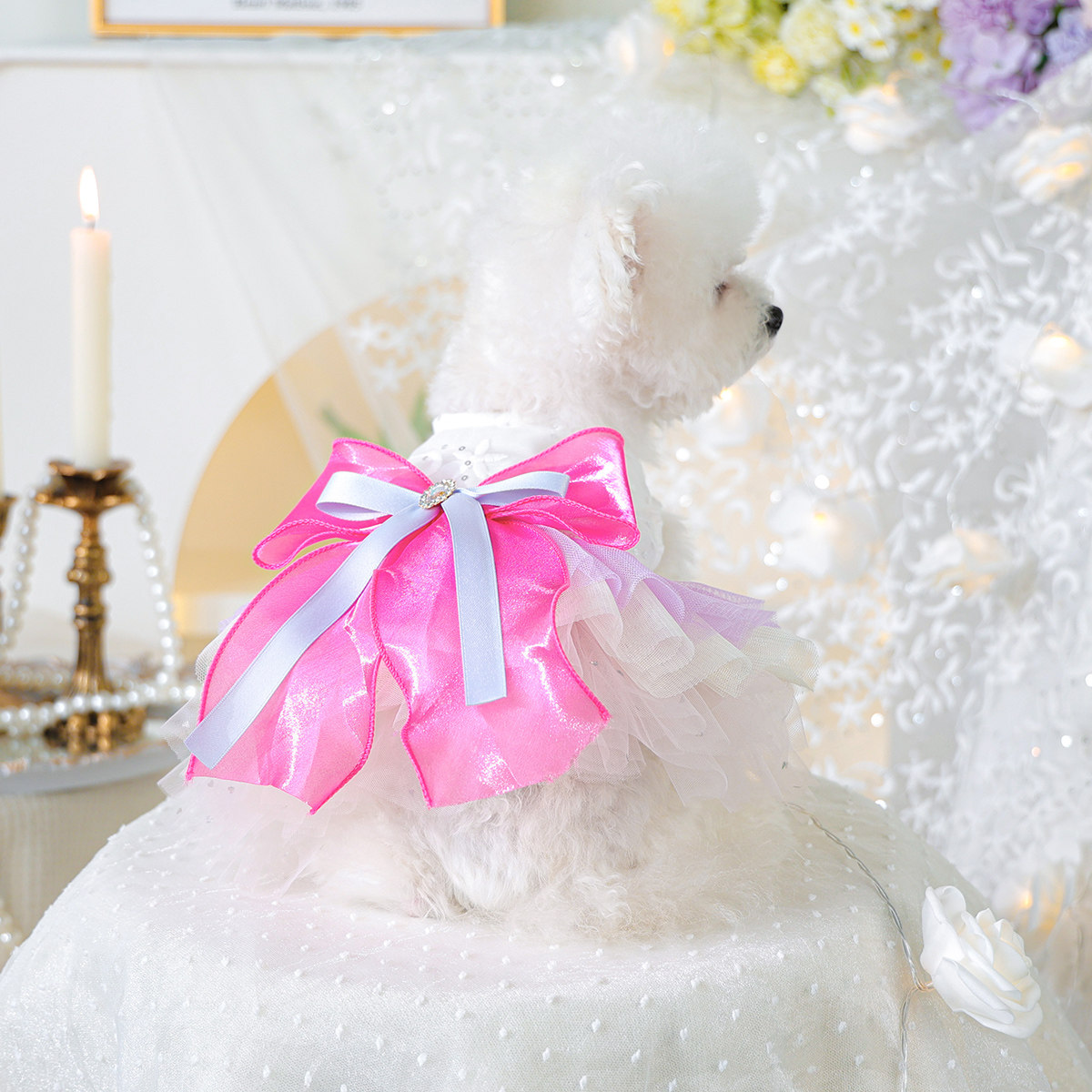 petcircle狗狗衣服宠物婚纱礼服