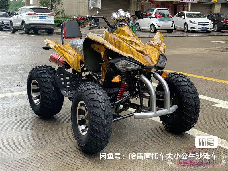 大小火星沙滩车沙滩车