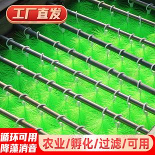 孵化草孵化毛刷锦鲤产卵草金鱼鱼卵孵化刷鱼卵着床水产养殖鱼巢