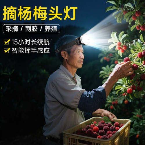 摘杨梅头灯新款强光超亮