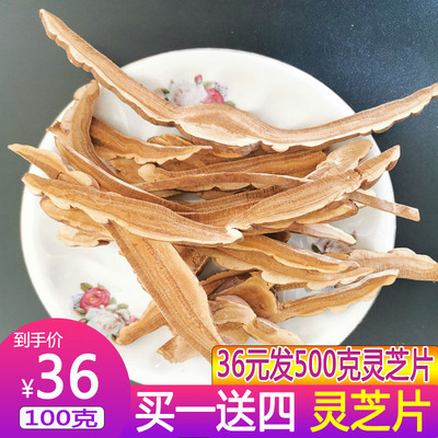 [买一送四共发500克长白山灵芝片东北灵芝泡水紫芝赤灵芝茶100克]