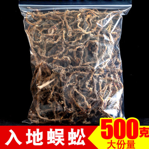 入地蜈蚣500g正品中药材