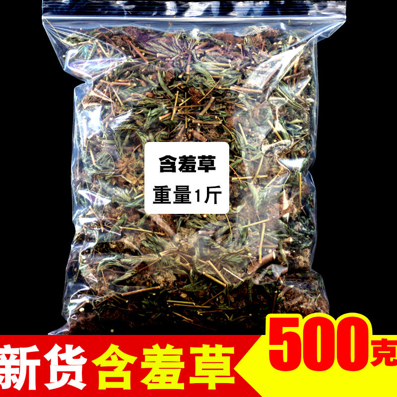 正品含羞草中草药新鲜晒干 怕羞草感应草野生中药材怕丑草红骨茎
