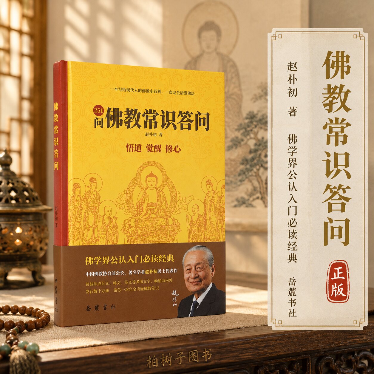 佛教常识答问 赵朴初著佛教常识251问佛学入门问答佛教知识佛法基础宗教文化读本岳麓书社随书附赠折页 - 实物图