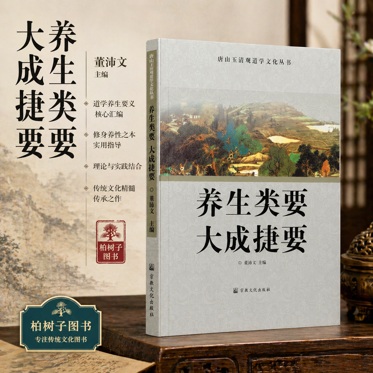 养生类要大成捷要 董沛文主编道家中医药物学内外科经验方剂修道内丹练功笔记气功导引道教修真性命双修唐山玉清观丛书宗教文化
