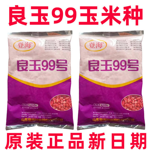 登海良玉99玉米种子国审