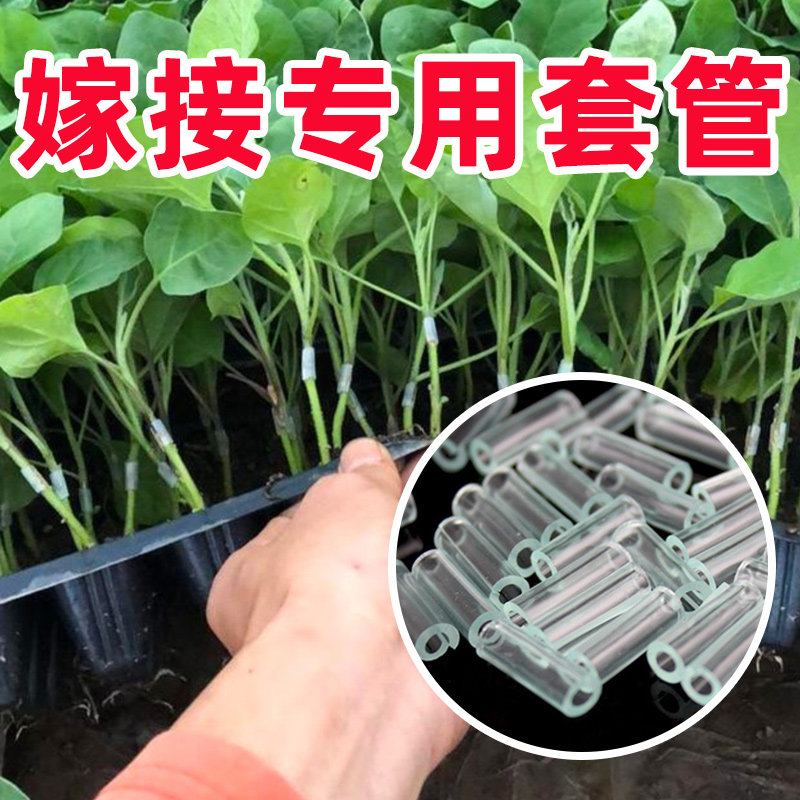 嫁接套管蔬菜嫁接工具