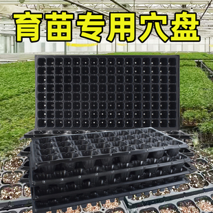 育苗托盘蔬菜苗西瓜种植专用杯塑料穴盘大号播种穴盘扦插盘营养钵