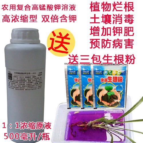 高锰溶液青枯立枯病高猛酸消毒液发财树多肉种植烂根土壤刹菌根腐 - 封面
