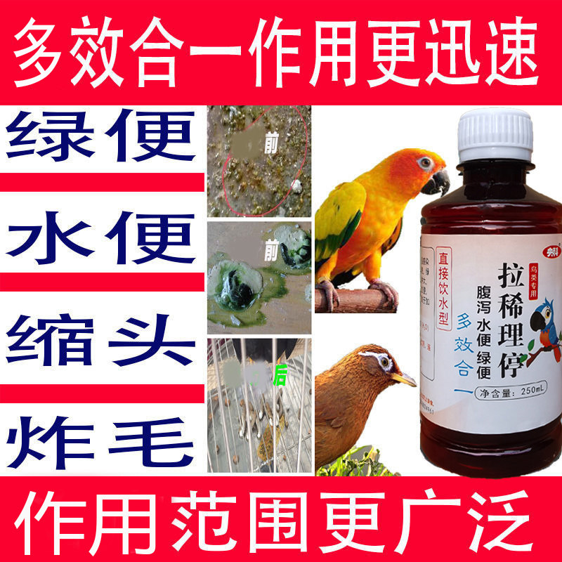 鸟用拉稀鹦鹉八哥画眉鸽子肠炎拉稀绿便水便缩头炸毛没精神